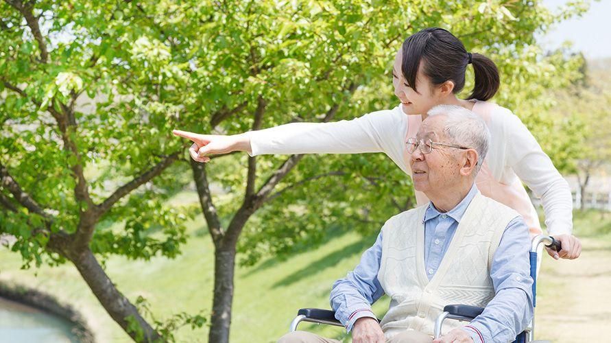 Hogares de Ancianos para Ancianos, Conozca las Fortalezas y Debilidades