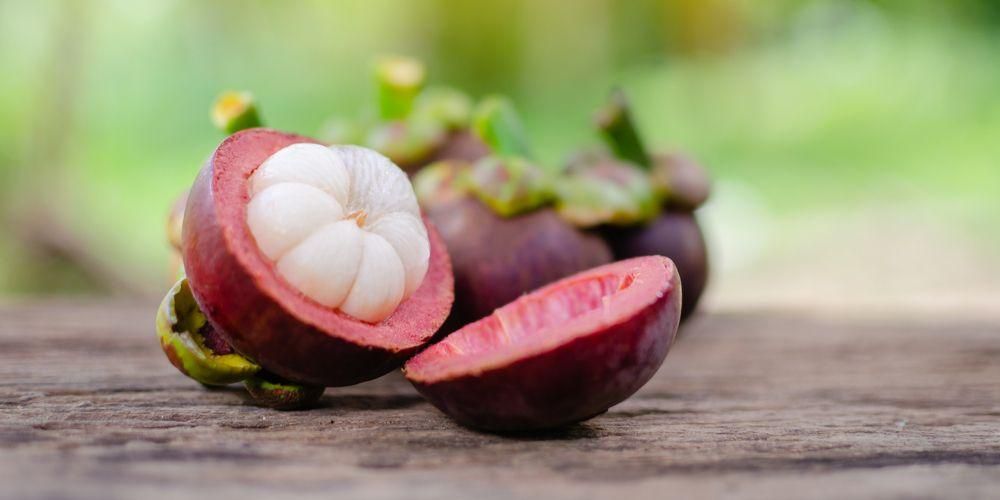 Kako obraditi koru mangostina za zdravlje što se može učiniti kod kuće