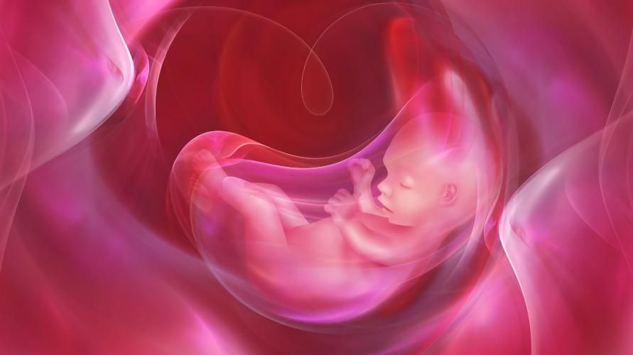Orsaker till en klibbig moderkaka (placenta accreta) som gravida kvinnor måste vara medvetna om
