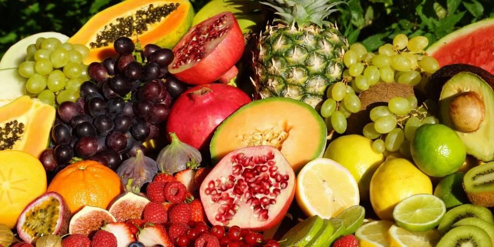 건강을 위한 과일 섭취의 확실한 이점