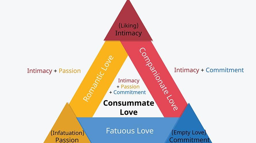 삼각 사랑 이론에서 사랑의 구성 요소와 형태 이해