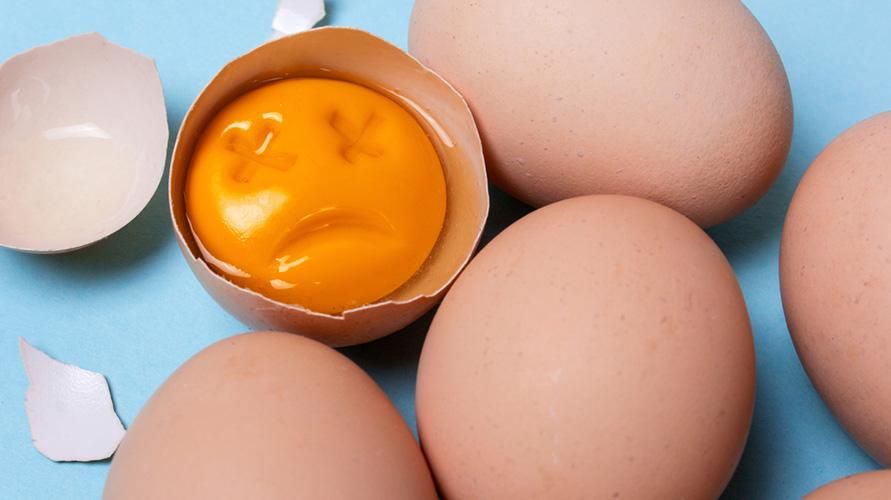 썩은 계란과 신선한 계란을 구별하는 4가지 방법