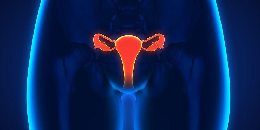 8 façons simples de prendre soin du vagin, l'organe féminin « indépendant »