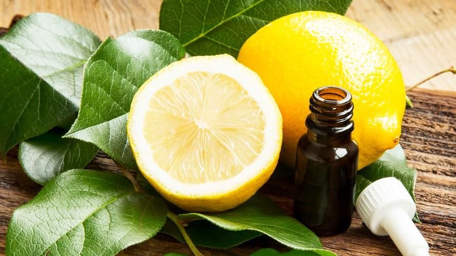 향기로운 레몬 오일의 다양한 효능