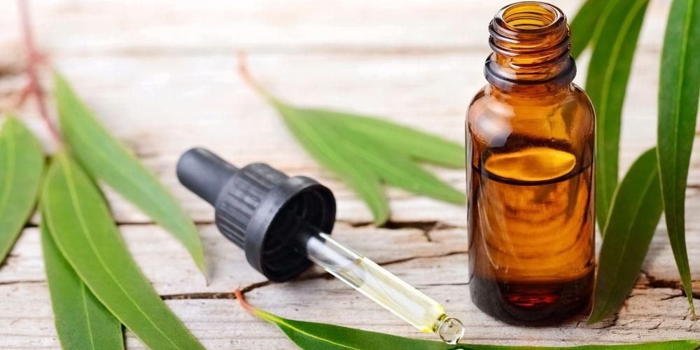 8 beneficii ale uleiului de eucalipt, nu doar încălzirea corpului