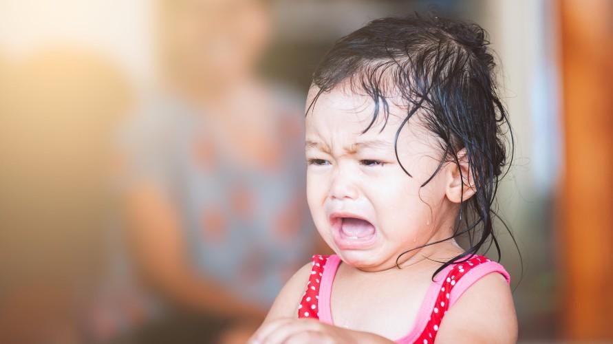 Conocer las causas de los niños que a menudo gritan y se enojan, lo que a menudo confunde a los padres