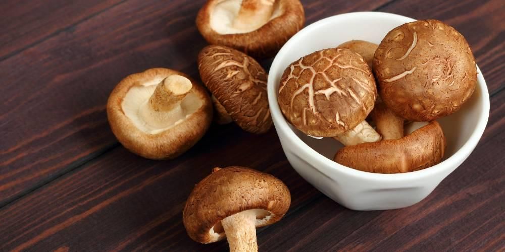 몸에 좋은 표고버섯의 다양한 효능을 즐기고 비만을 예방하여 면역력을 유지하십시오